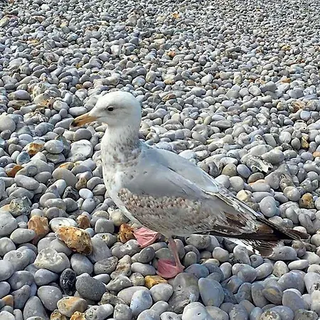 Des Falaises 3*