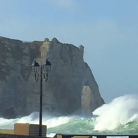 Hotel Des Falaises 3*