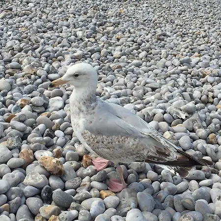 Des Falaises Hotel 2*