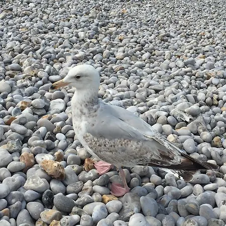 Des Falaises Hotel 3*