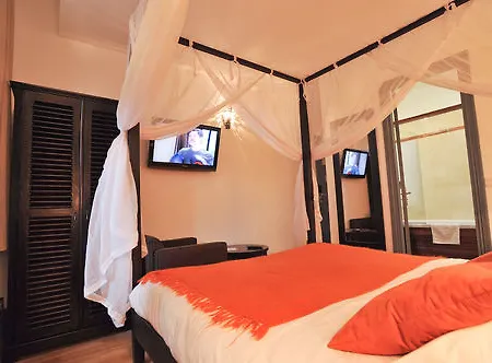 Des Falaises Étretat